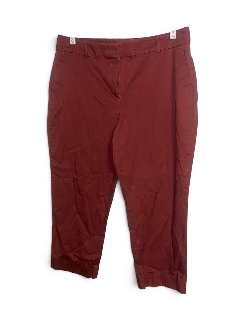 Ann Taylor Cropped Burnt Orange Ankle Pants SZ 14